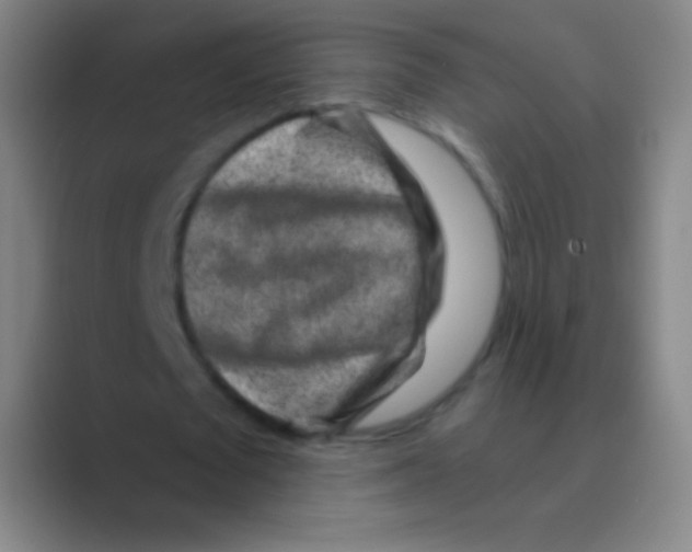 X0000088730673200706282124