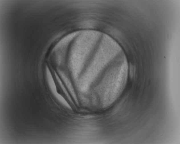 X0000088730675200706282124