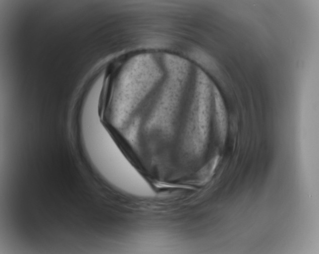 X0000088730676200706282124