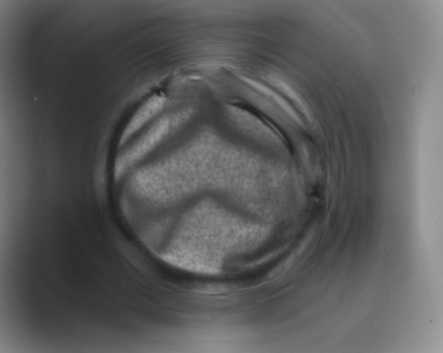 X0000088730677200706282124