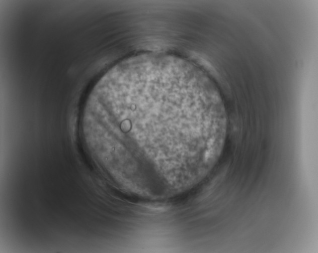 X0000088730679200706282124