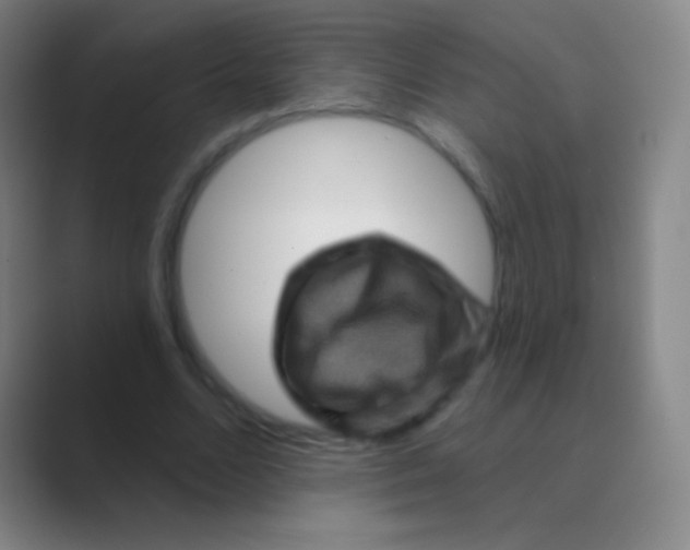 X0000088730680200706282124