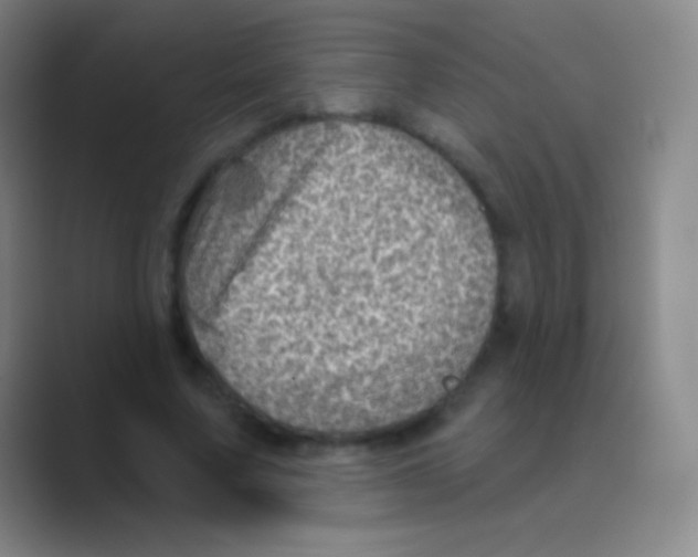 X0000088730683200706282124