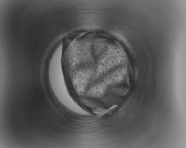 X0000088730684200706282124