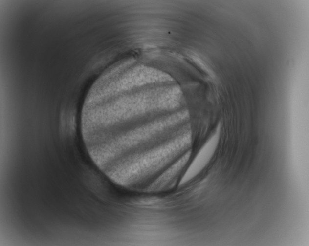 X0000088730685200706282124