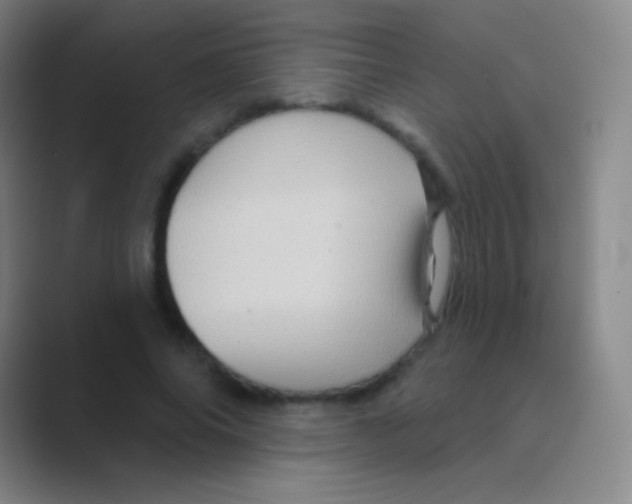 X0000088730686200706282124