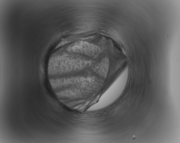 X0000088730688200706282124