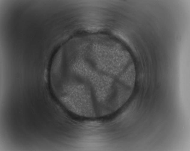 X0000088730689200706282124