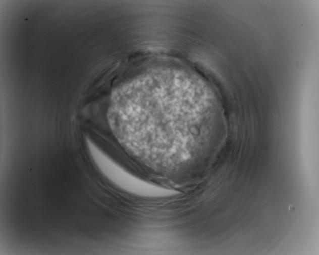 X0000088730692200706282124