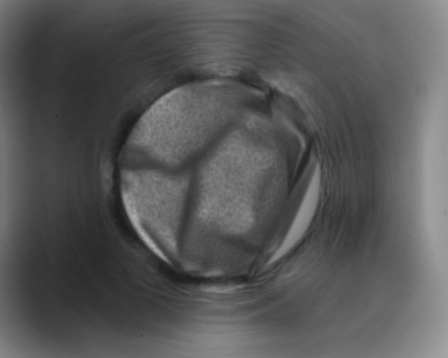 X0000088730693200706282124