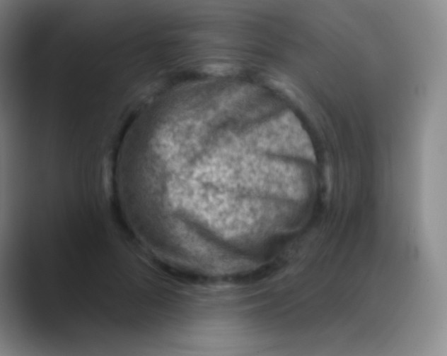 X0000088730696200706282124