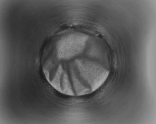 X0000088730697200706282124