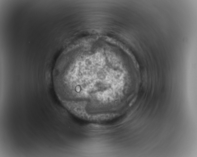 X0000088730699200706282124