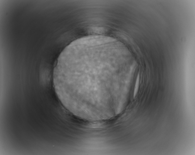 X0000088730701200706282124