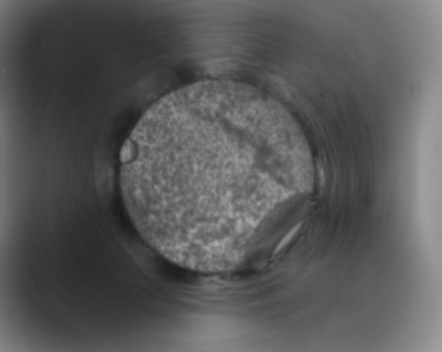 X0000088730703200706282124