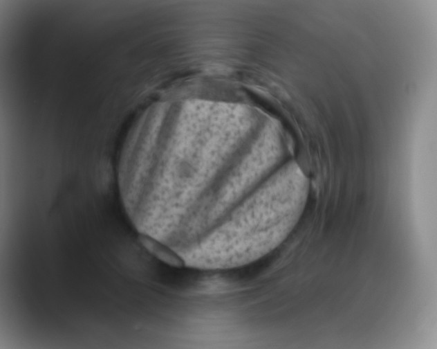 X0000088730704200706282124