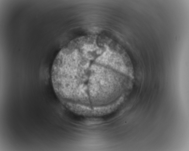 X0000088730707200706282124