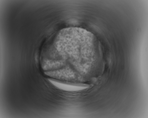 X0000088730708200706282124