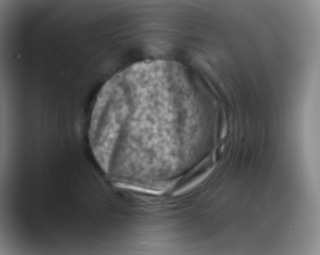 X0000088730712200706282124