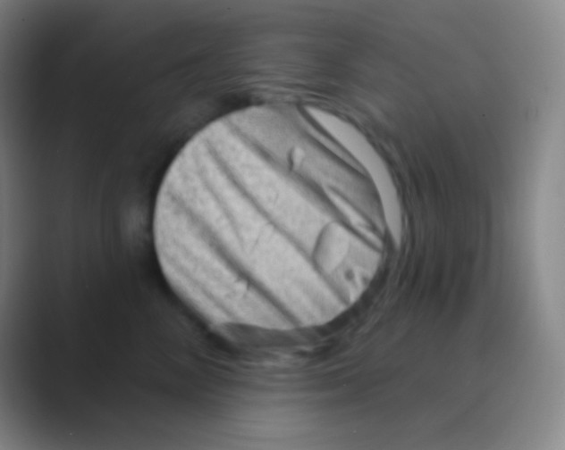 X0000088730714200706282124