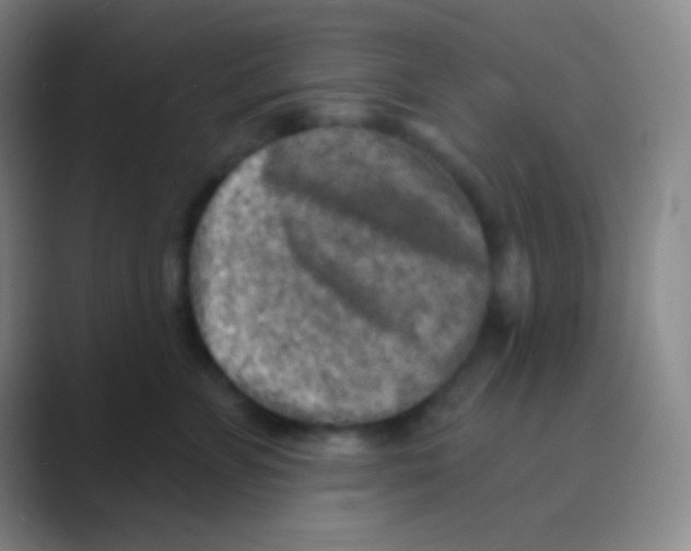 X0000088730715200706282124