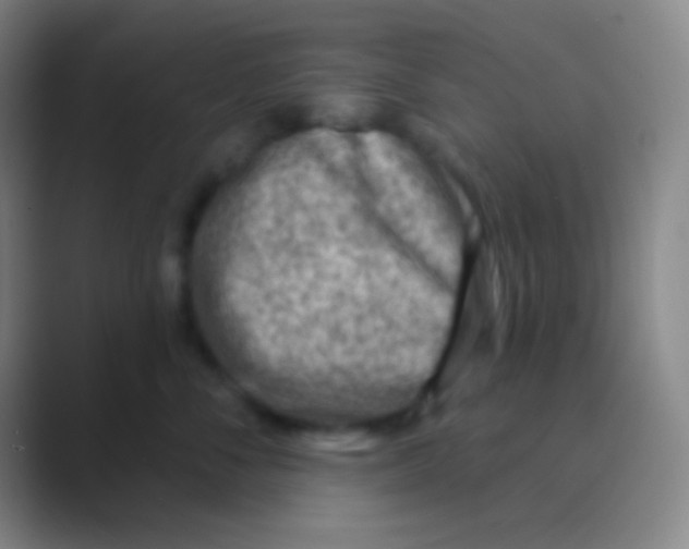 X0000088730716200706282124