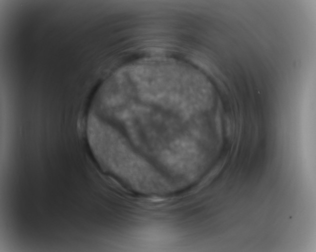 X0000088730718200706282124