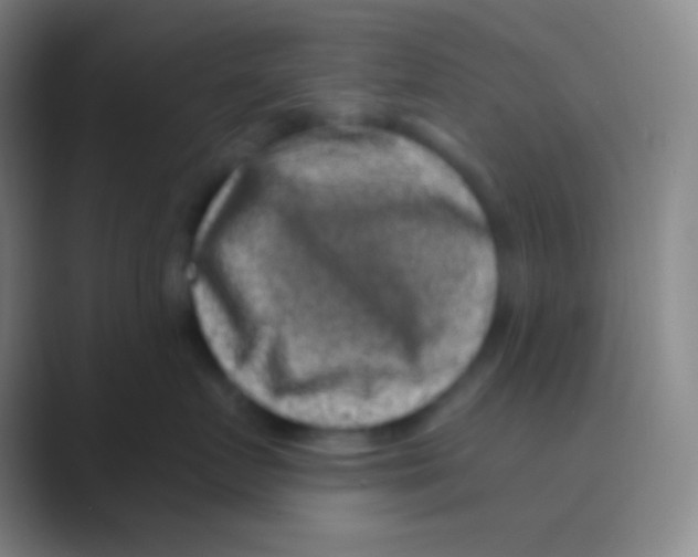 X0000088730719200706282124