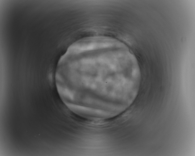 X0000088730720200706282124