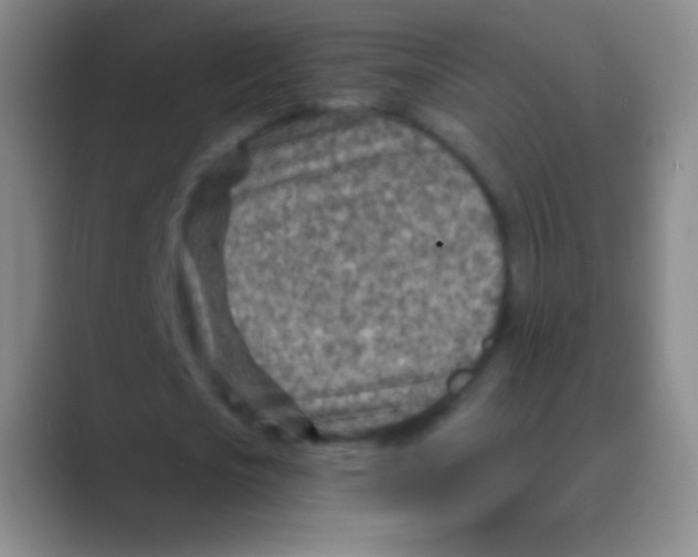 X0000088730721200706282123