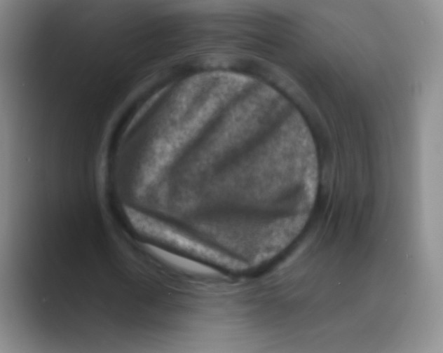 X0000088730722200706282123