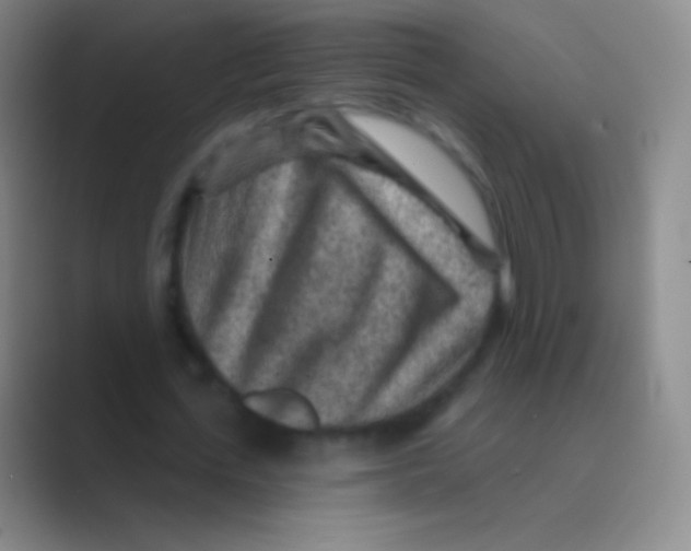 X0000088730723200706282123