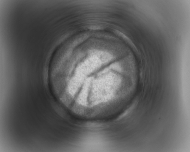 X0000088730725200706282123