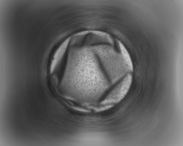 X0000088730727200706282123