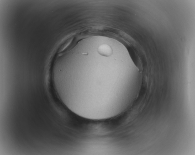 X0000088730728200706282123