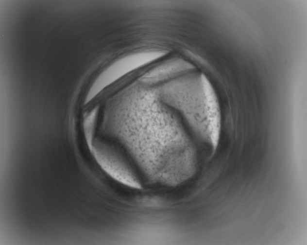 X0000088730730200706282123