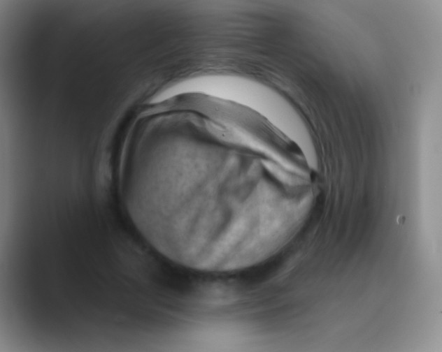 X0000088730731200706282123