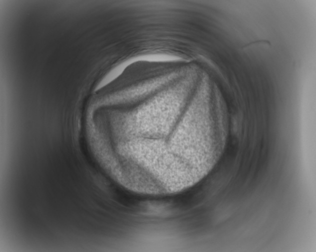 X0000088730733200706282123