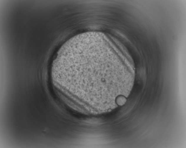 X0000088730734200706282123