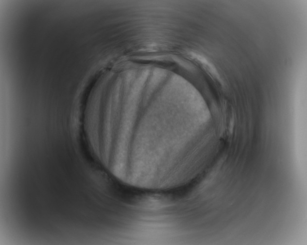 X0000088730736200706282123