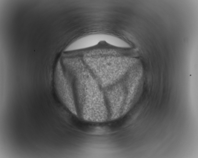 X0000088730737200706282123