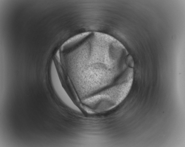 X0000088730738200706282123