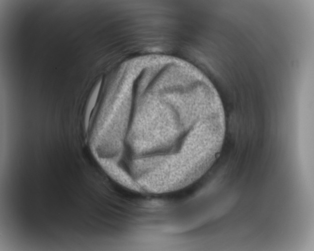 X0000088730741200706282123