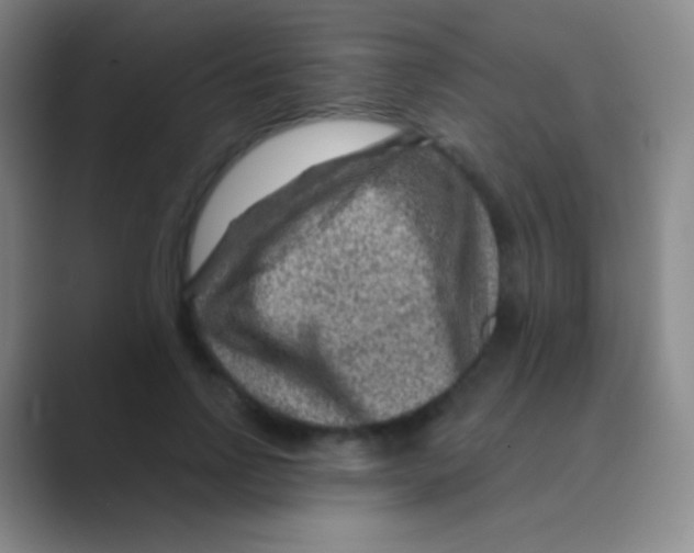 X0000088730742200706282123