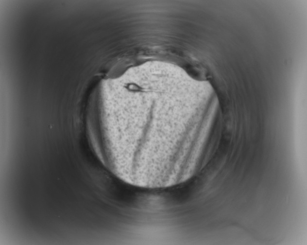 X0000088730743200706282123