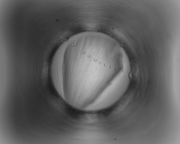 X0000088730744200706282123