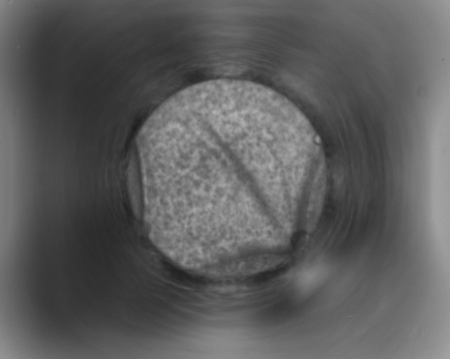 X0000088730745200706282123