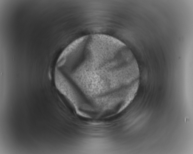 X0000088730746200706282123