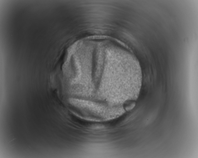 X0000088730749200706282123