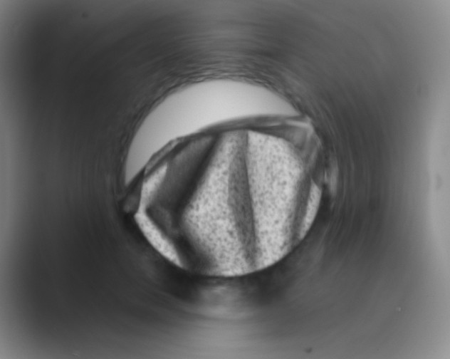 X0000088730750200706282123